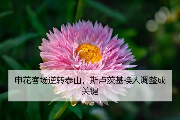 shen-hua-ke-chang-ni-zhuan-tai-shan-si-lu-ci-ji-huan-ren-tiao-zheng-cheng-guan-jian-3-495.jpg