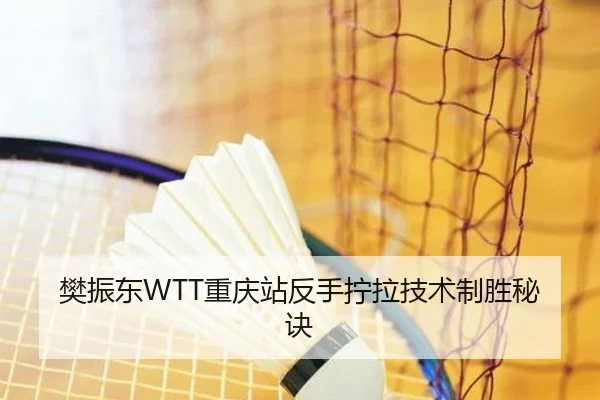 樊振东WTT重庆站反手拧拉技术制胜秘诀