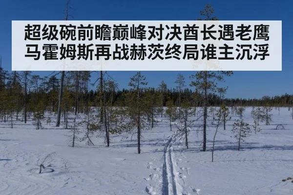 超级碗前瞻巅峰对决酋长遇老鹰马霍姆斯再战赫茨终局谁主沉浮